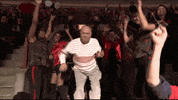 chicago bulls dancing GIF by NBA
