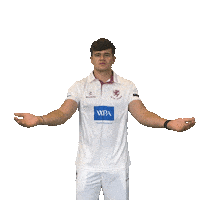 Ball Hands Sticker by Somerset County Cricket Club