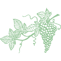 peachstatepride fruit clothing georgia ga Sticker