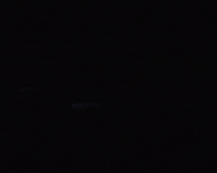 Animation Pink GIF by Rogue Ales & Spirits