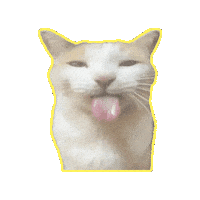 Sybau Sticker
