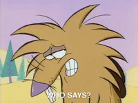 nickrewind nicksplat angry beaver GIF