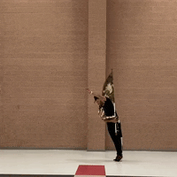 thatguywhospins flag spinning colorguard tatguywhospins GIF