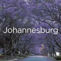 south africa GIF by Virgin Atlantic