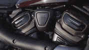 Ride GIF by Harley-Davidson