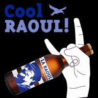 LaRaoul59 cheers beers sante biere GIF