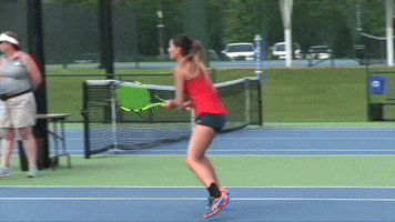 csucougars csu columbus state GIF