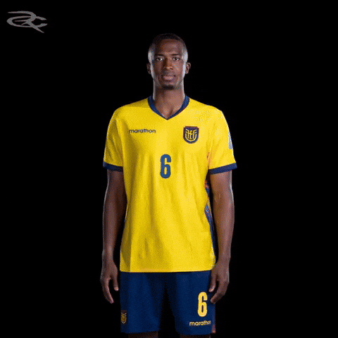 Fifa World Cup Ecuador GIF by Respective