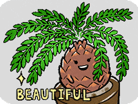 Beautiful GIF
