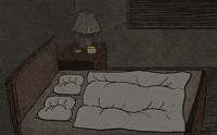 wake up night GIF by Noam Sussman