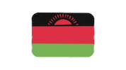 emojivid emoji flag emojivid malawi Sticker