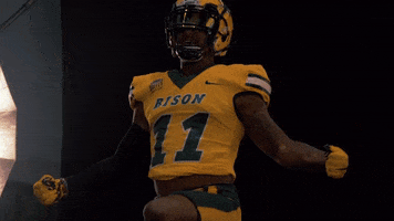 North Dakota State Bison GIF by NDSU Athletics