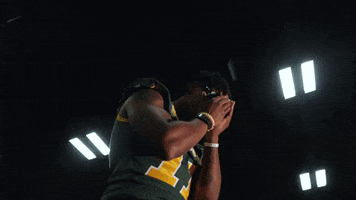 North Dakota State Bison GIF by NDSU Athletics