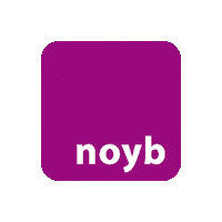 Privacy Schrems Sticker by noyb