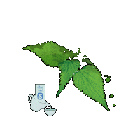 Mint Tea Sticker by shuyao_teekultur