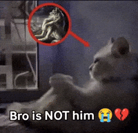 Think Red Arrow GIF