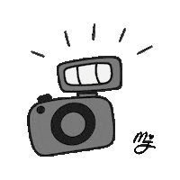 Camera Action Sticker by Jenn Edwards