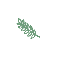 Apple Plant Sticker
