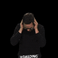 Noise Ears GIF by DASDING
