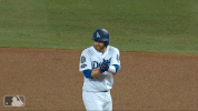 dozier GIF by MLB