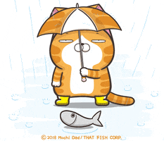 cat rain GIF by MochiDad