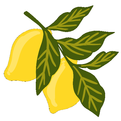 natashareddystudio giphyupload summer fresh citrus Sticker