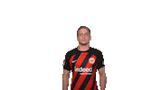 Sticker by Eintracht Frankfurt