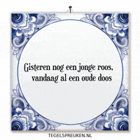 Nl Wijsheid GIF by Tegelspreuken.nl