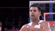 real madrid basketball GIF by ACB