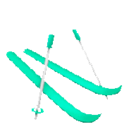 emoji ski Sticker