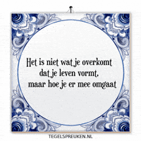 Humor Wijsheid GIF by Tegelspreuken.nl