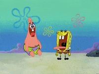 season 4 GIF by SpongeBob SquarePants