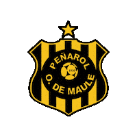 Futbolsanjavier Sticker