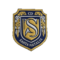 Futbolsanjavier Sticker