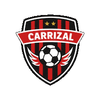 Futbolsanjavier Sticker
