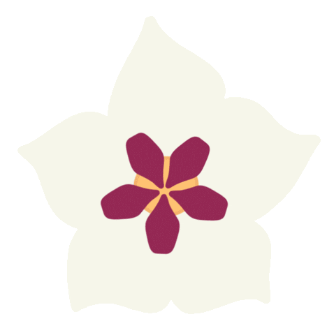 Feliesje plant plants bella houseplant Sticker