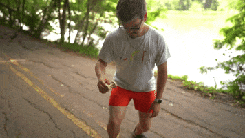 solkendamas bird kendama little bird kendamas GIF