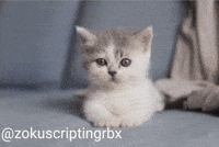 Zokuscriptingrbx GIF