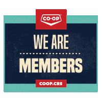 Wearecoop Sticker by Co-op