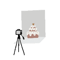cosasdefoodstyling cake photography backdrop tripode Sticker