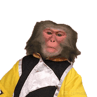 Fun Monkey Sticker