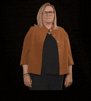 fdpfraktionlsa fdplsa tarricone fdpfraktionlsa ktarricone GIF