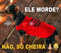 Vice Vasco GIF