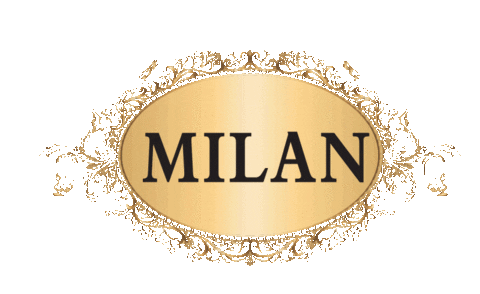milan modin Sticker by baluashtangayogashala