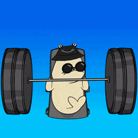 1234 GIF by Sappy Seals Community