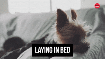 Laying In Bed