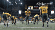 north dakota state football GIF by NDSU Athletics