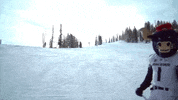 bigblue GIF by Utah State University