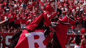 Rutgers University GIF by Rutgers Football