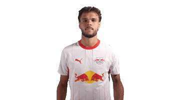 Come On Rbl Sticker by RB Leipzig